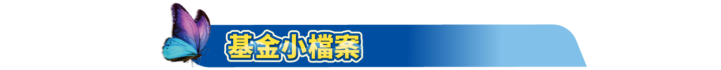大標題_基金小檔案