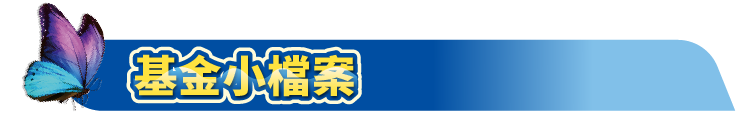 大標題_基金小檔案