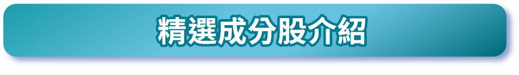 精選成分股介紹